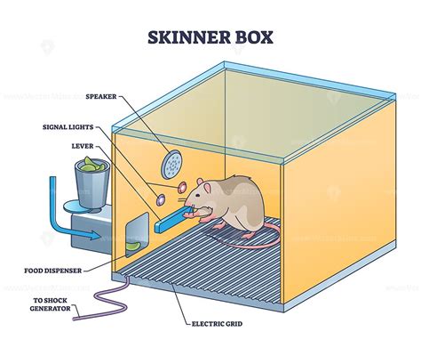 skinner box replica shoe box|skinner box lab.